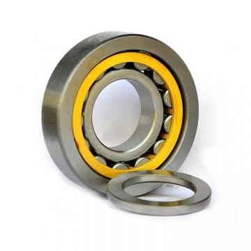 Scheerer 10809-RIT Cylindrical Roller Bearings