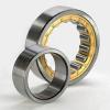 Scheerer 11116-RA Cylindrical Roller Bearings